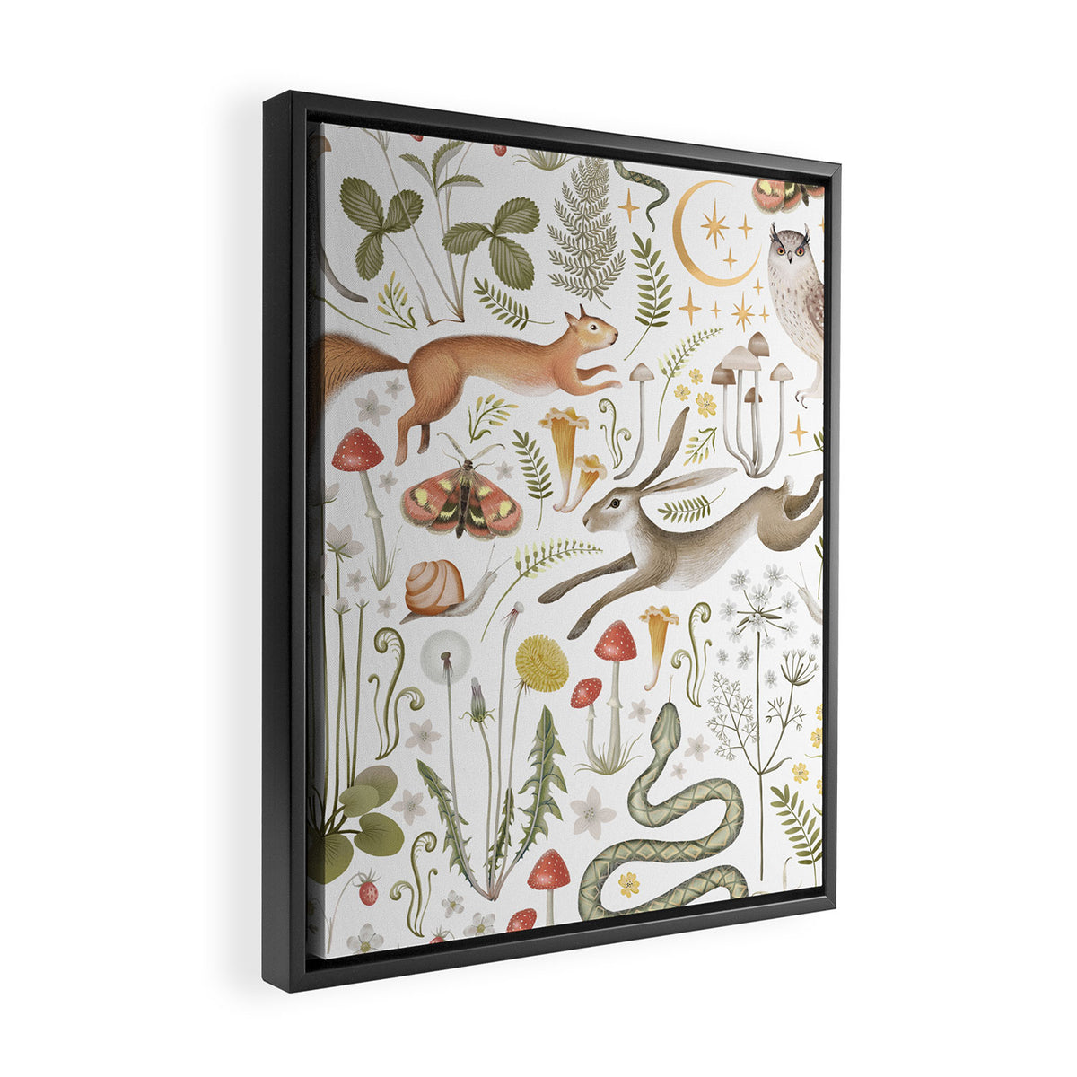 Enchanted Magical Midnight Forest V Framed Canvas Print Gallery Image 2