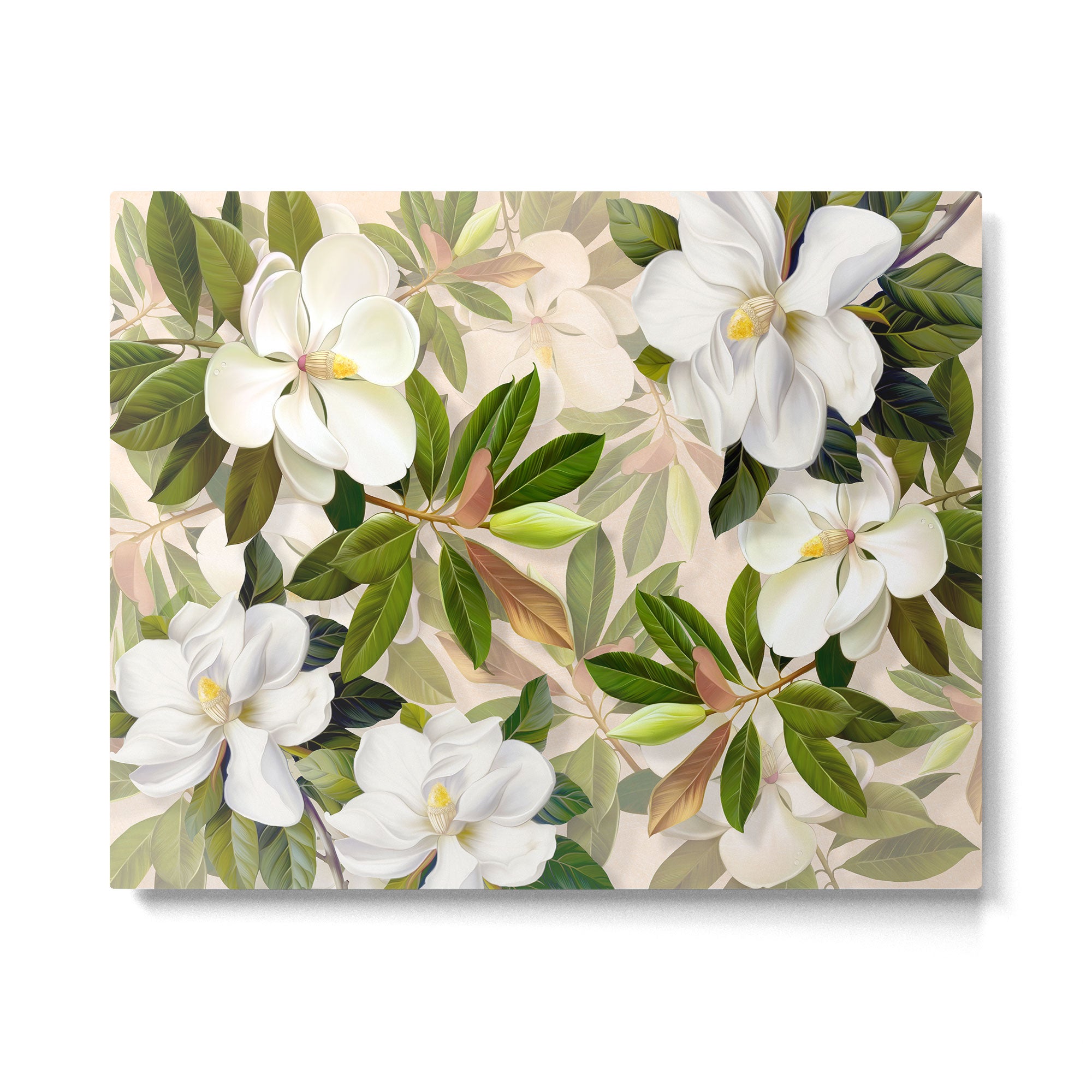 Magnolia Flowers Spring Blossom Metal Print Gallery Image 6