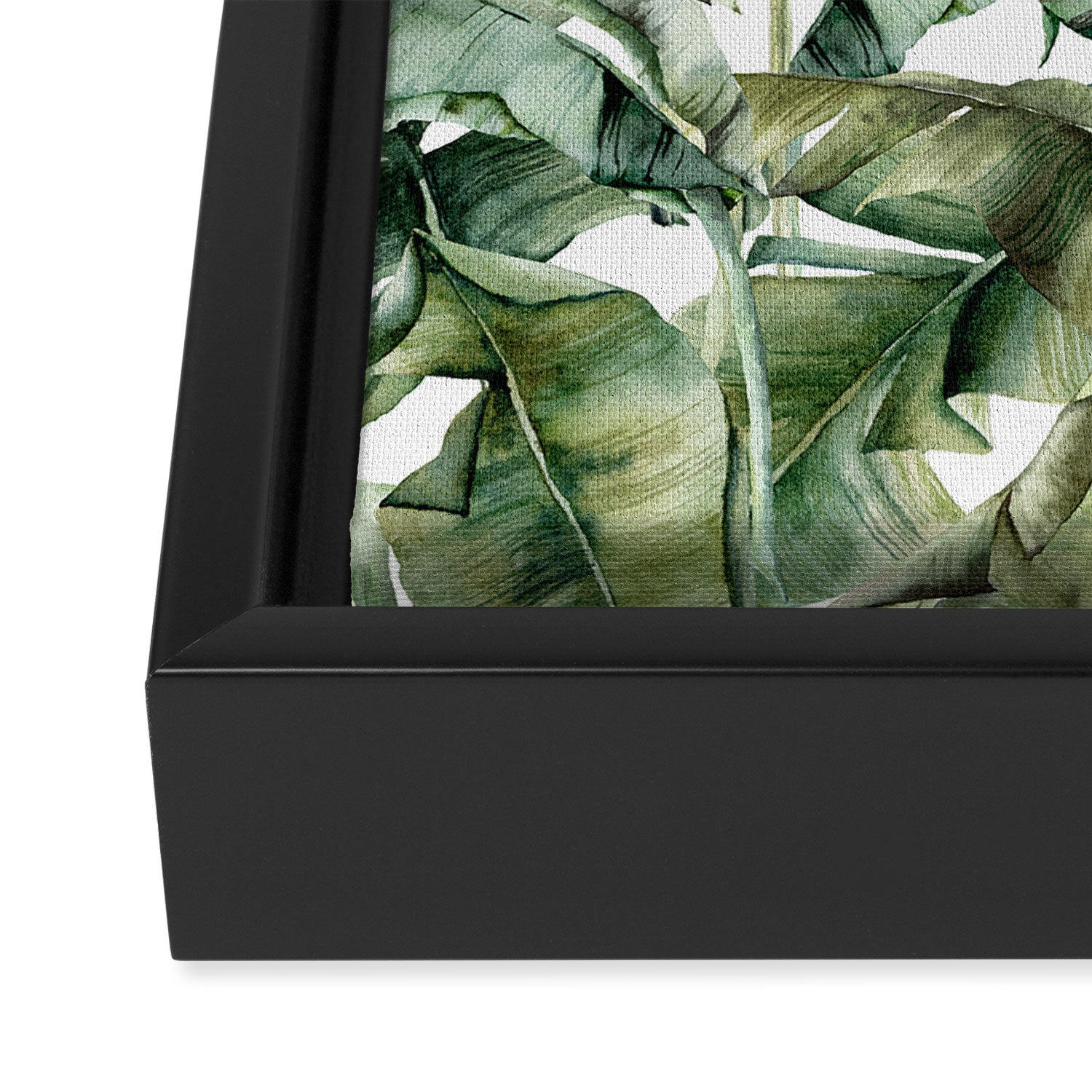 Tropical Banana Leaf Botanical Framed Canvas Print Gallery Image 3