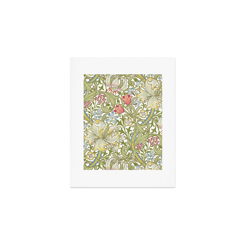 William Morris Golden Lily White Floral Art Print Gallery Image 1