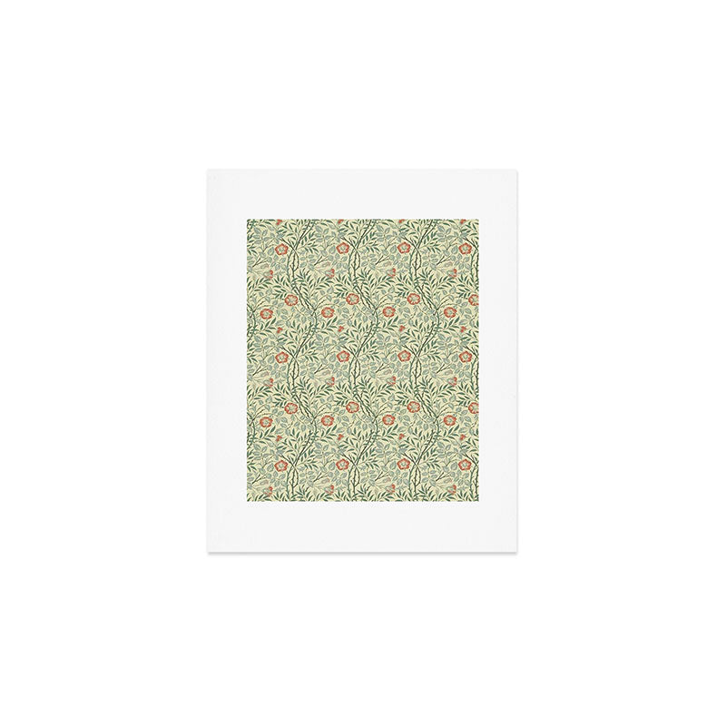 William Morris Sweet Briar Green Coral Art Print Gallery Image 1