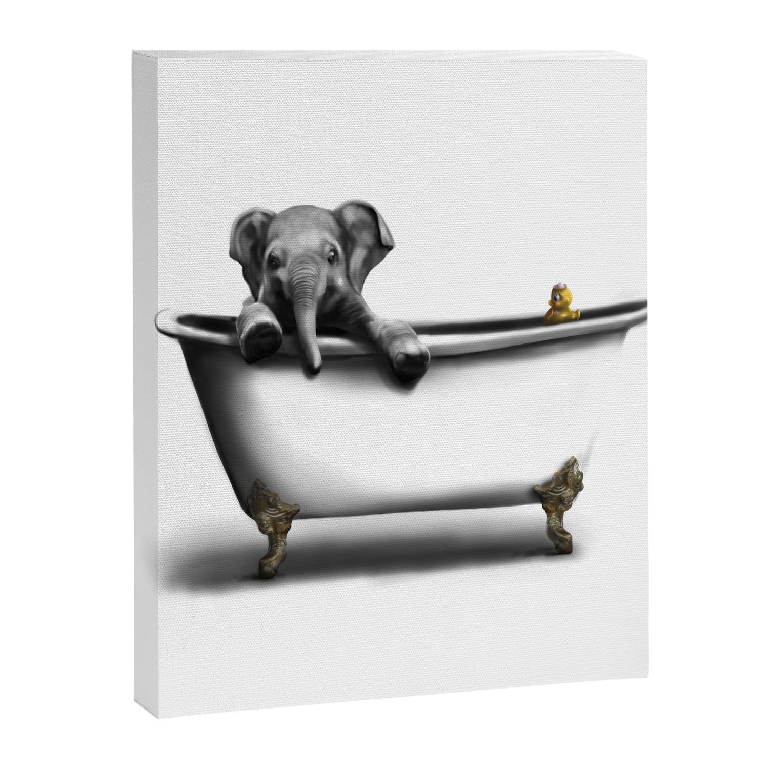 Elephant in Bath Canvas Print Gallery Image 8