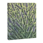 Lavender Love Canvas Print Gallery Image 6