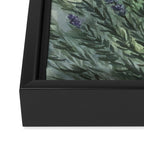 Lavender Love Framed Canvas Print Gallery Image 3