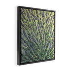 Lavender Love Framed Canvas Print Gallery Image 2