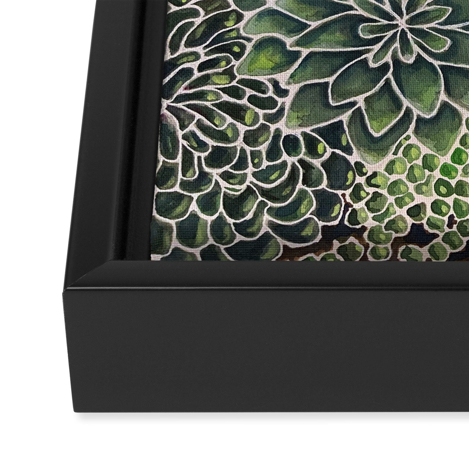 Watercolor Succulents Framed Canvas Print Gallery Image 3