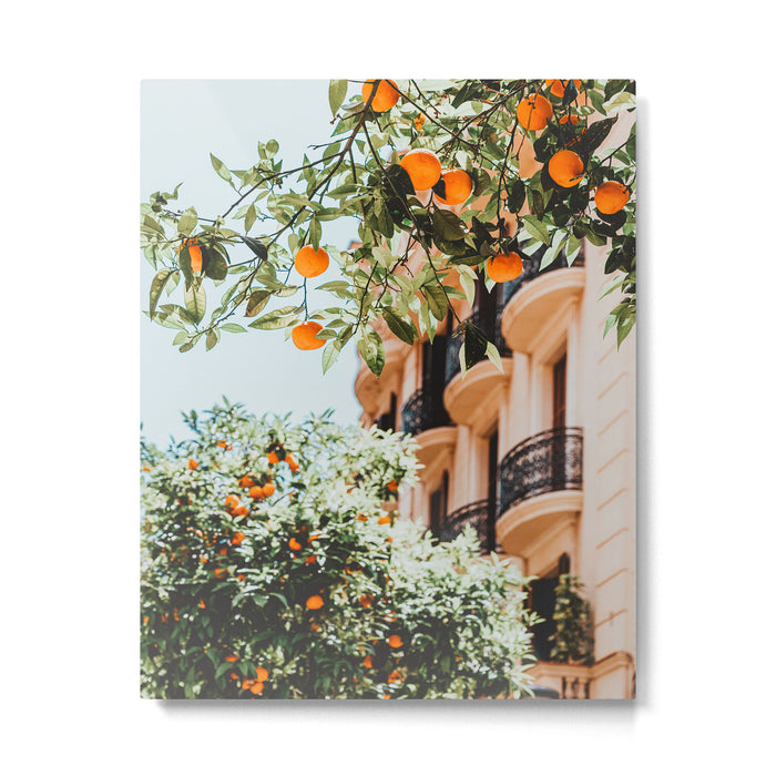 Orange Tree Fruits Print, Barcelona Spain Print, Orange Fruits Wall Art Print, Urban Photography, Tropical Summer Print Metal Print Gallery Image 1