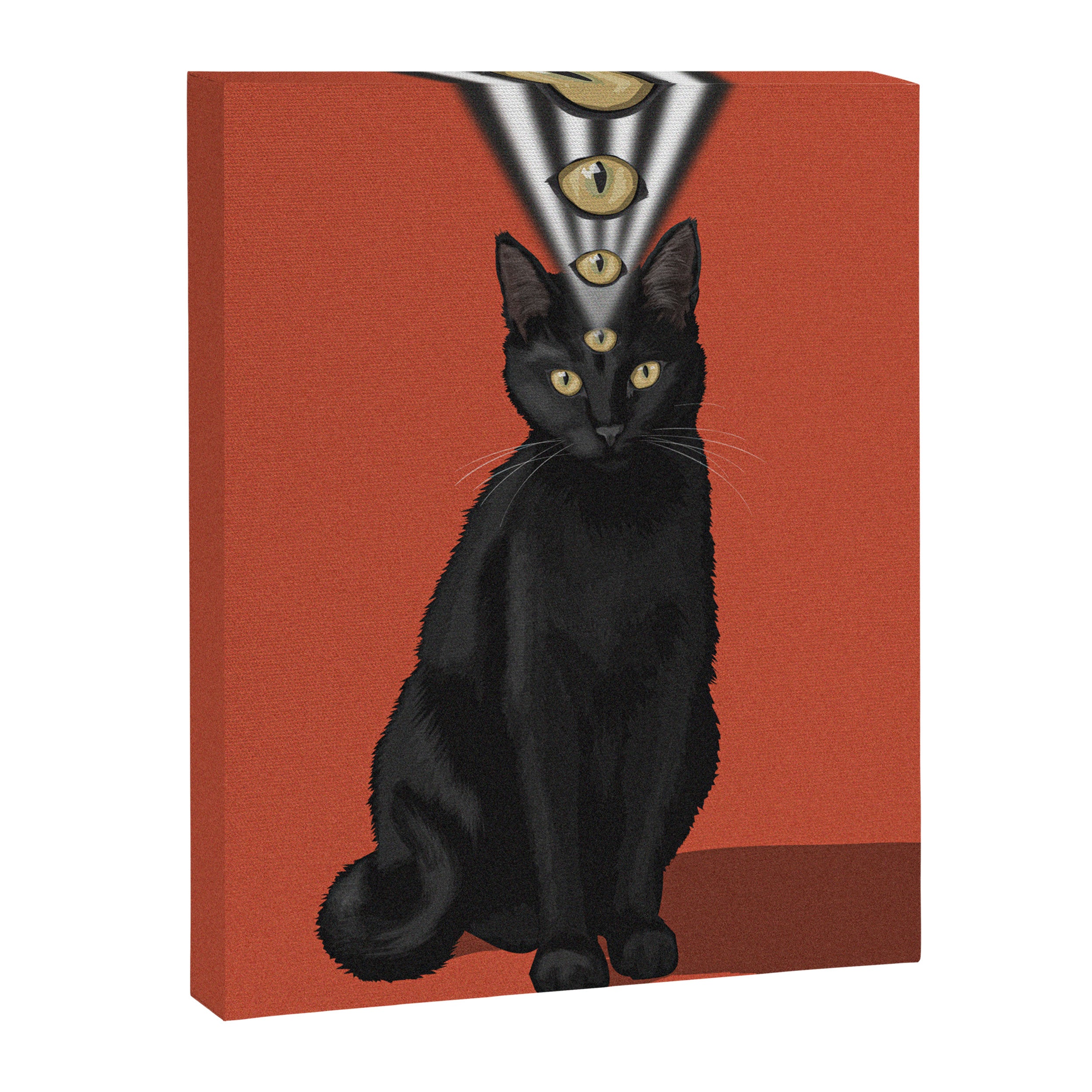 Cat Eye Canvas Print Gallery Image 6