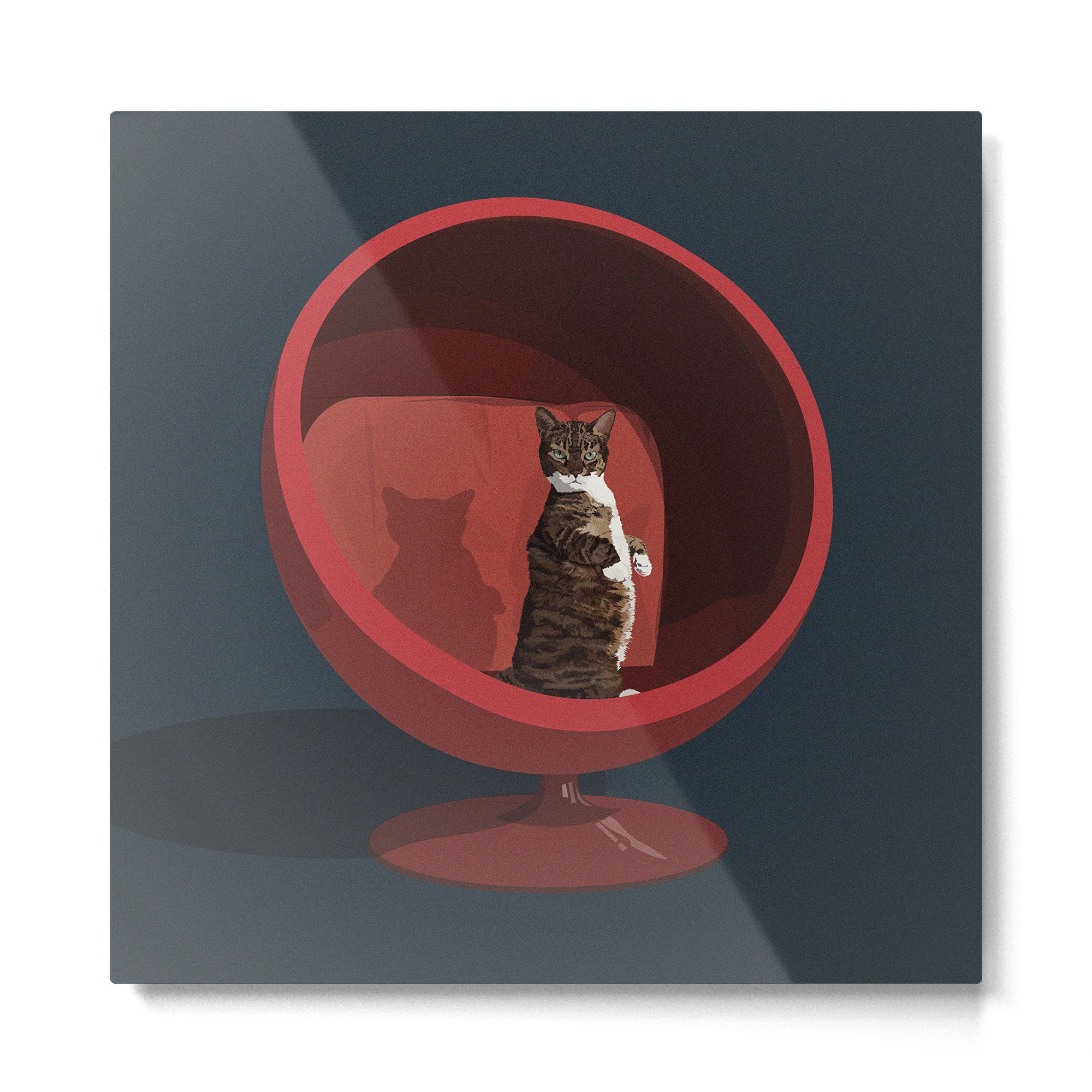Cats on Chairs Collection - â5 Metal Print Gallery Image 2