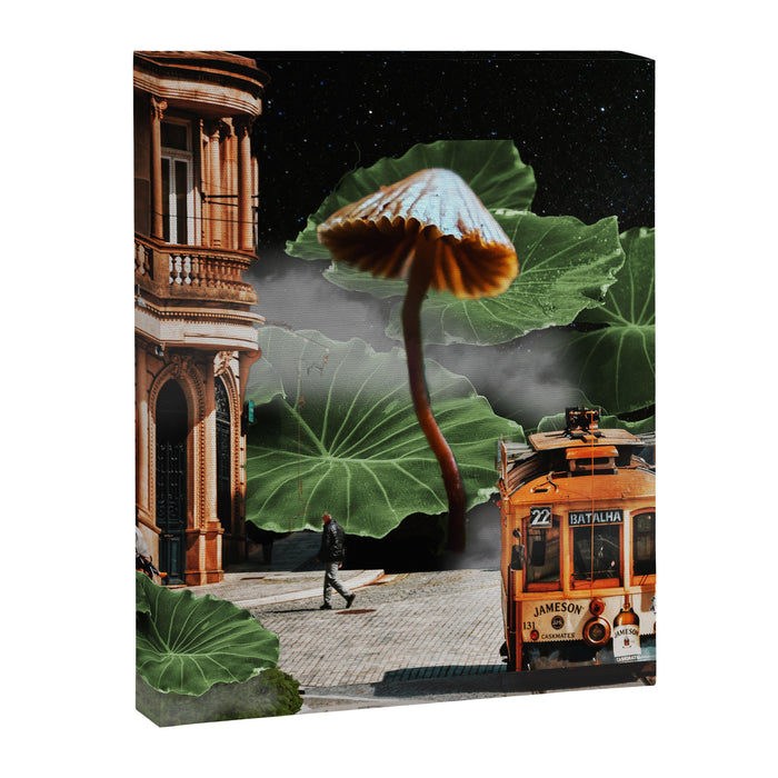 Dreamscape Canvas Print Gallery Image 1