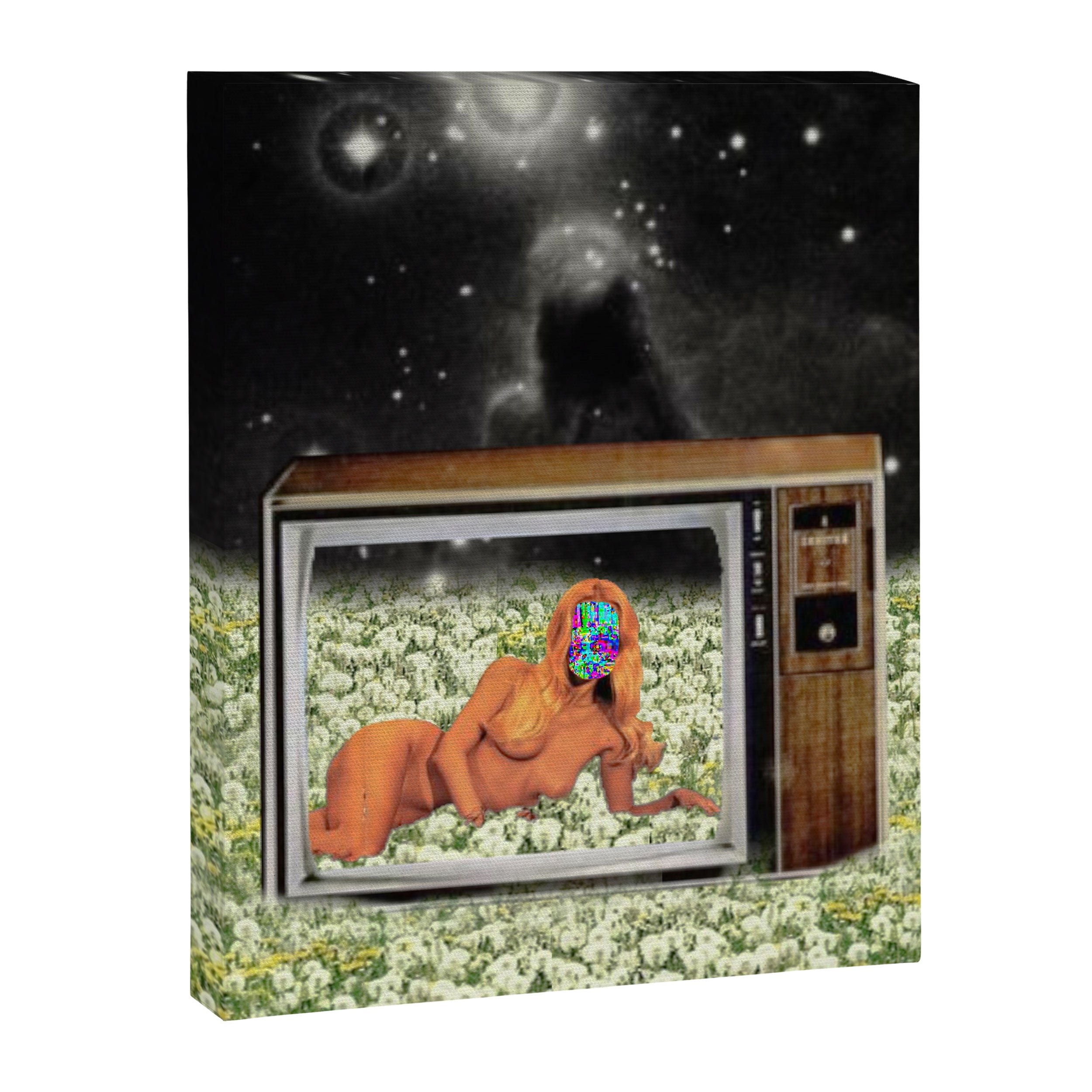 Glitchin Canvas Print Gallery Image 6