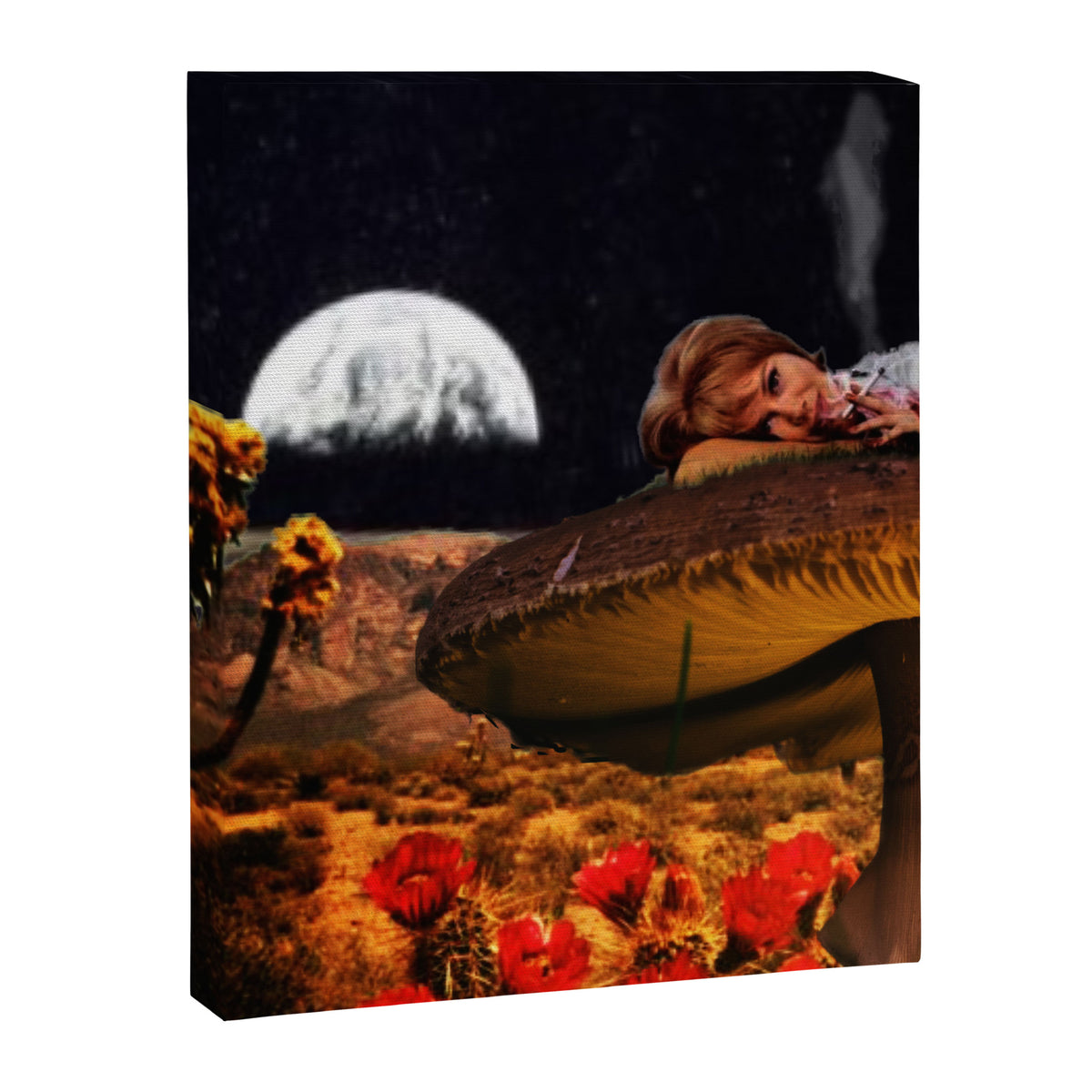 Quiet Night Canvas Print Gallery Image 6