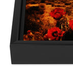 Quiet Night Framed Canvas Print Gallery Image 3
