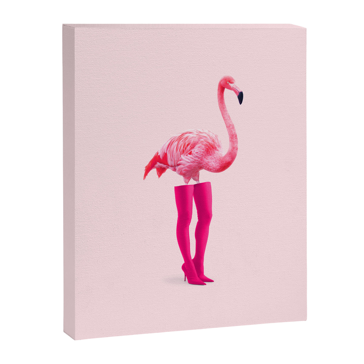 Flaminciaga Canvas Print Gallery Image 8