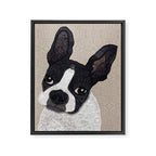 Boston Terrier 2015 Framed Canvas Print Gallery Image 8