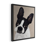 Boston Terrier 2015 Framed Canvas Print Gallery Image 2