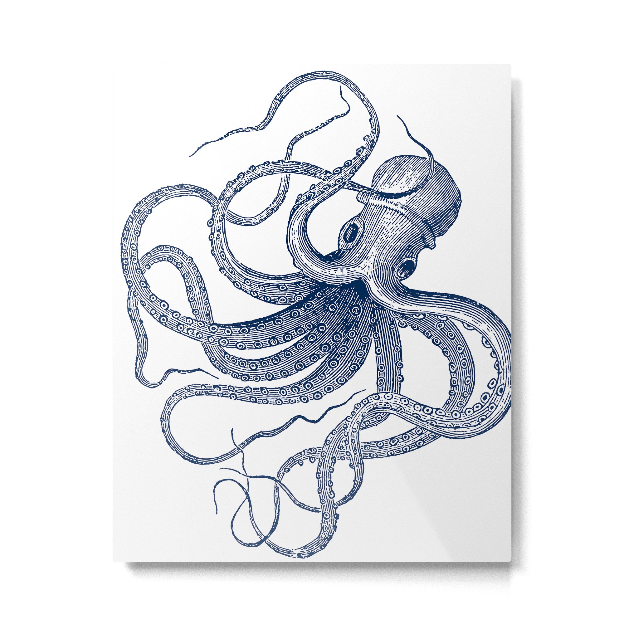 Blue nautical vintage octopus illustration Metal Print Gallery Image 6