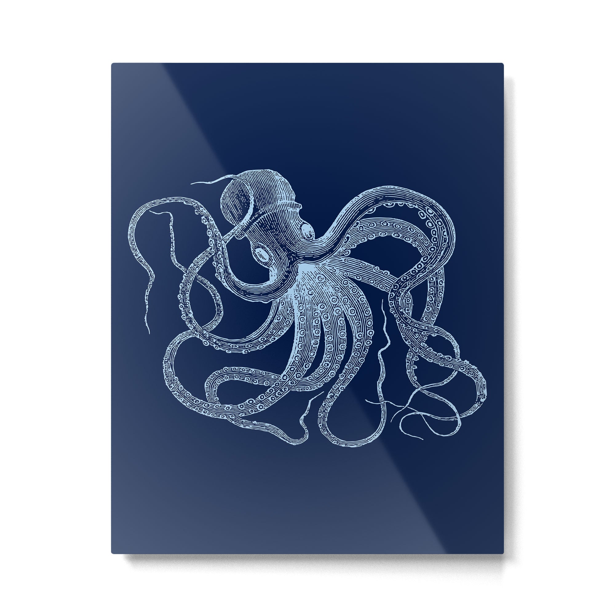 Light-blue octopus on dark blue Metal Print Gallery Image 6