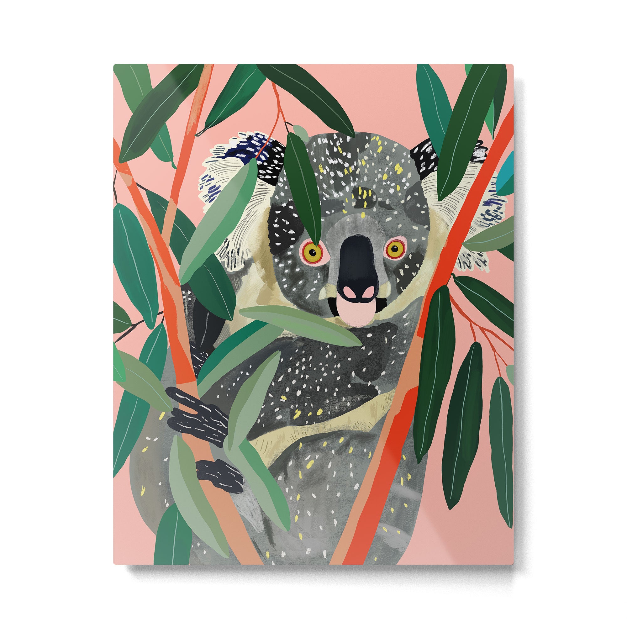 Koala Metal Print Gallery Image 4