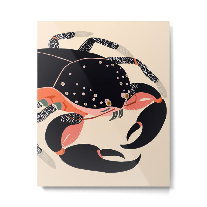 Mystic Crab Metal Print Gallery Image 1