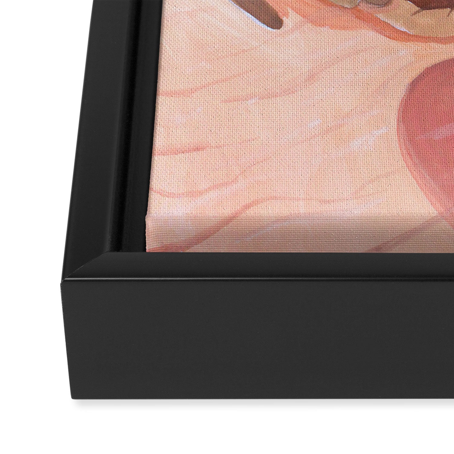Pomegranate Framed Canvas Print Gallery Image 3
