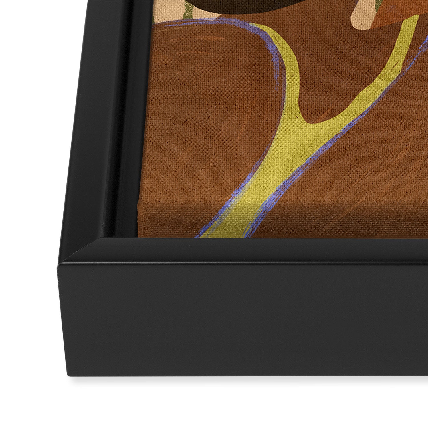 Secret Framed Canvas Print Gallery Image 3