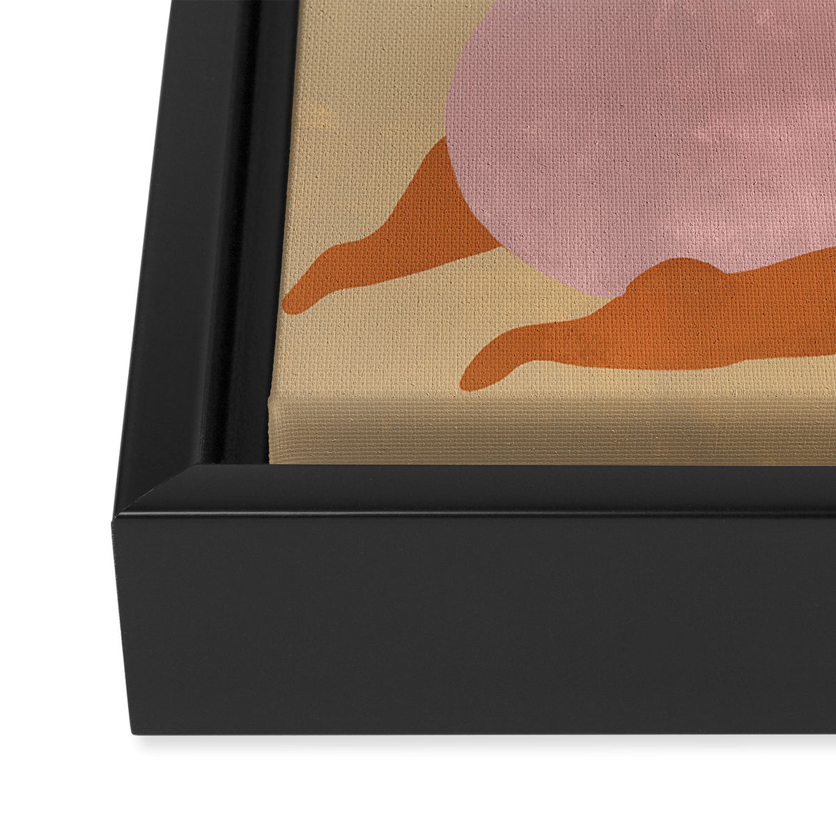 Smell The Orange Framed Canvas Print Gallery Image 3