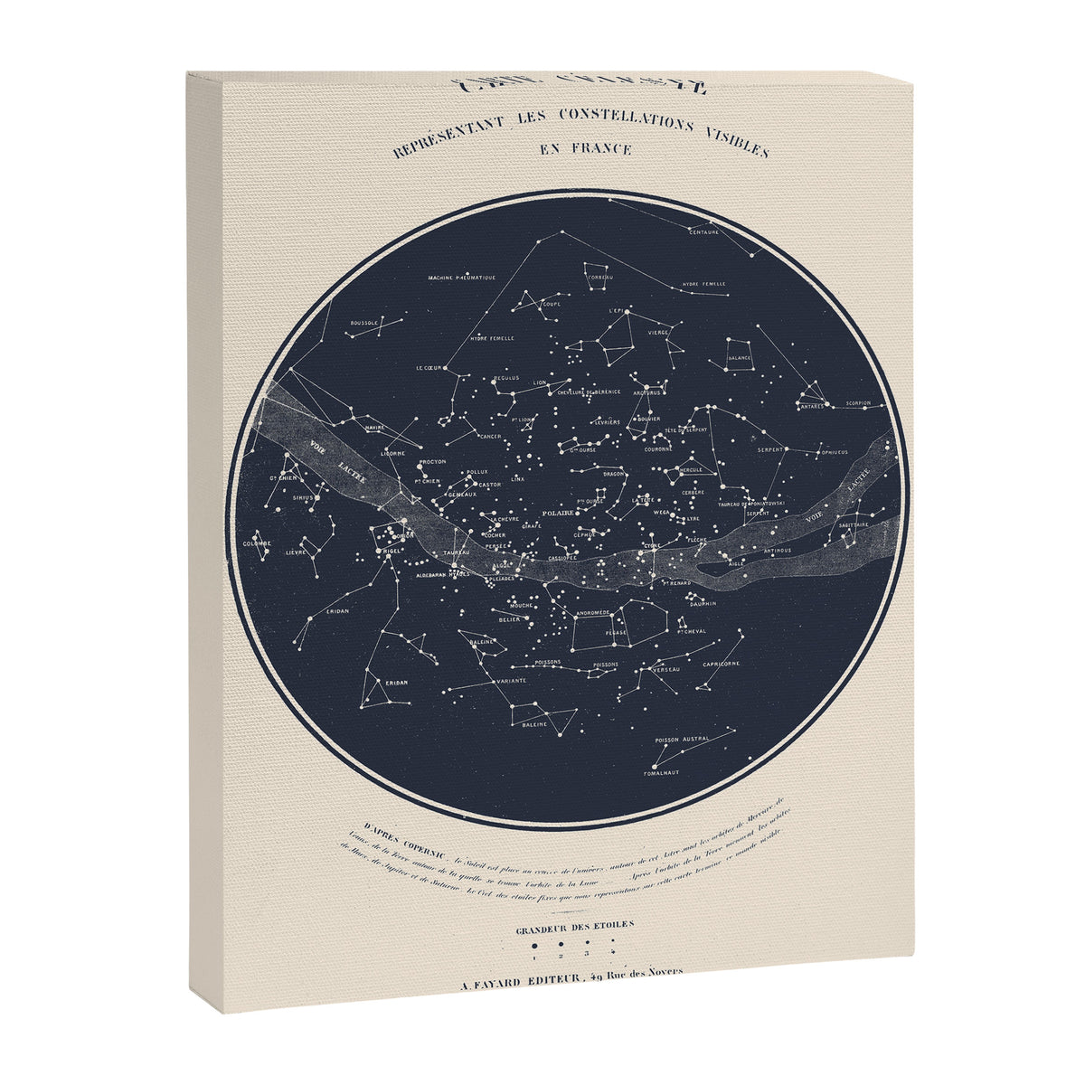 Carte Celeste Canvas Print Gallery Image 6