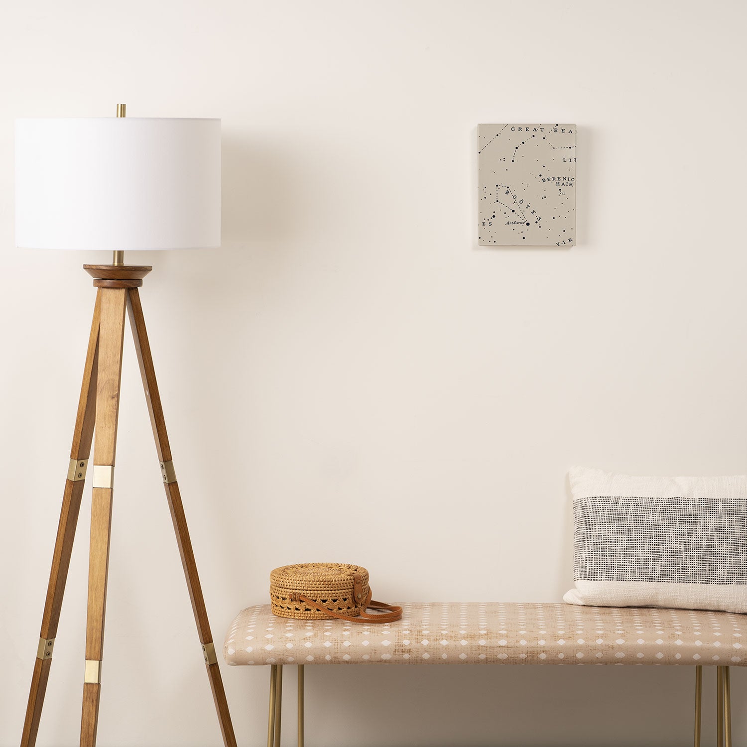 Constellation I Canvas Print Gallery Image 2