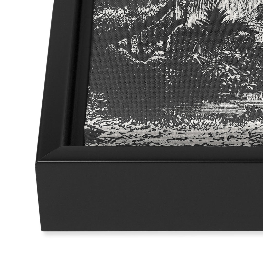 Indian Jungle Framed Canvas Print Gallery Image 3