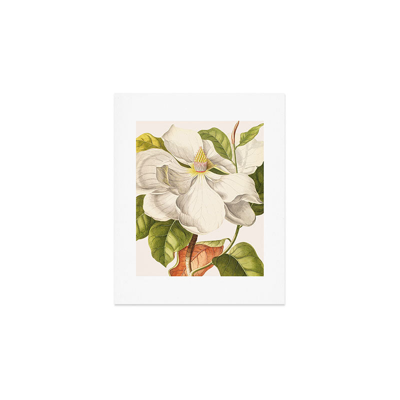 Magnolia Art Print Gallery Image 1