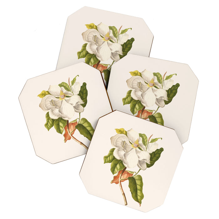 Magnolia Coaster Gallery Image 1