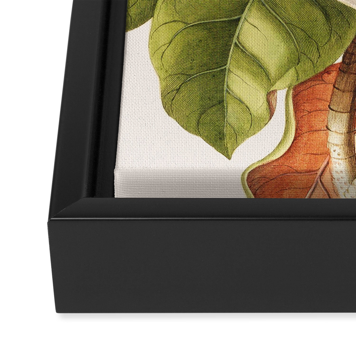 Magnolia Framed Canvas Print Gallery Image 3