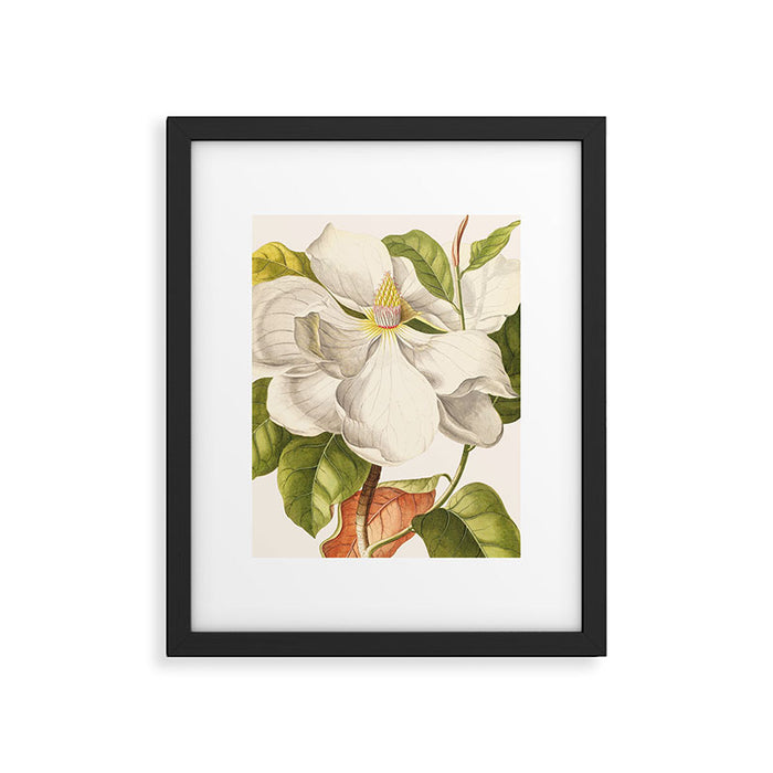 Magnolia Framed Art Print Gallery Image 1