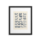 Types of Sheep Framed Art Print Gallery Image 5