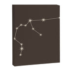 Aquarius Zodiac Star Constellation Line Art Coffee Brown Canvas Print Gallery Image 8