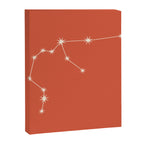 Aquarius Zodiac Star Constellation Line Art Coral Red Canvas Print Gallery Image 8