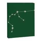 Aquarius Zodiac Star Constellation Line Art Green Canvas Print Gallery Image 8