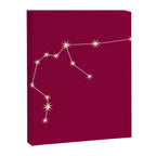 Aquarius Zodiac Star Constellation Line Art Magenta Pink Canvas Print Gallery Image 8