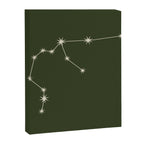 Aquarius Zodiac Star Constellation Line Art Moss Green Canvas Print Gallery Image 8