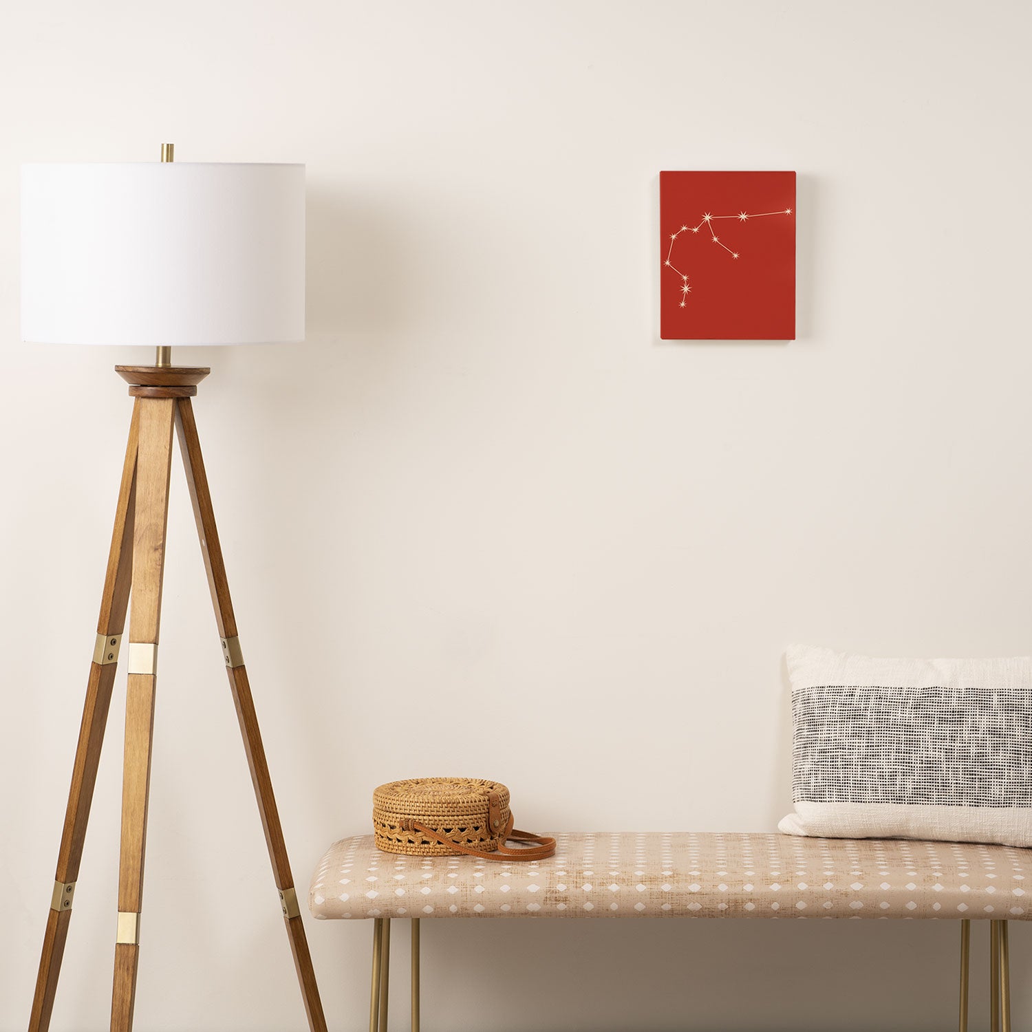 Aquarius Zodiac Star Constellation Line Art Red Canvas Print Gallery Image 2
