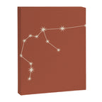 Aquarius Zodiac Star Constellation Line Art Terracotta Red Canvas Print Gallery Image 8