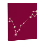 Pisces Zodiac Star Constellation Line Art Magenta Pink Canvas Print Gallery Image 8