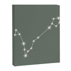 Pisces Zodiac Star Constellation Line Art Sage Canvas Print Gallery Image 8