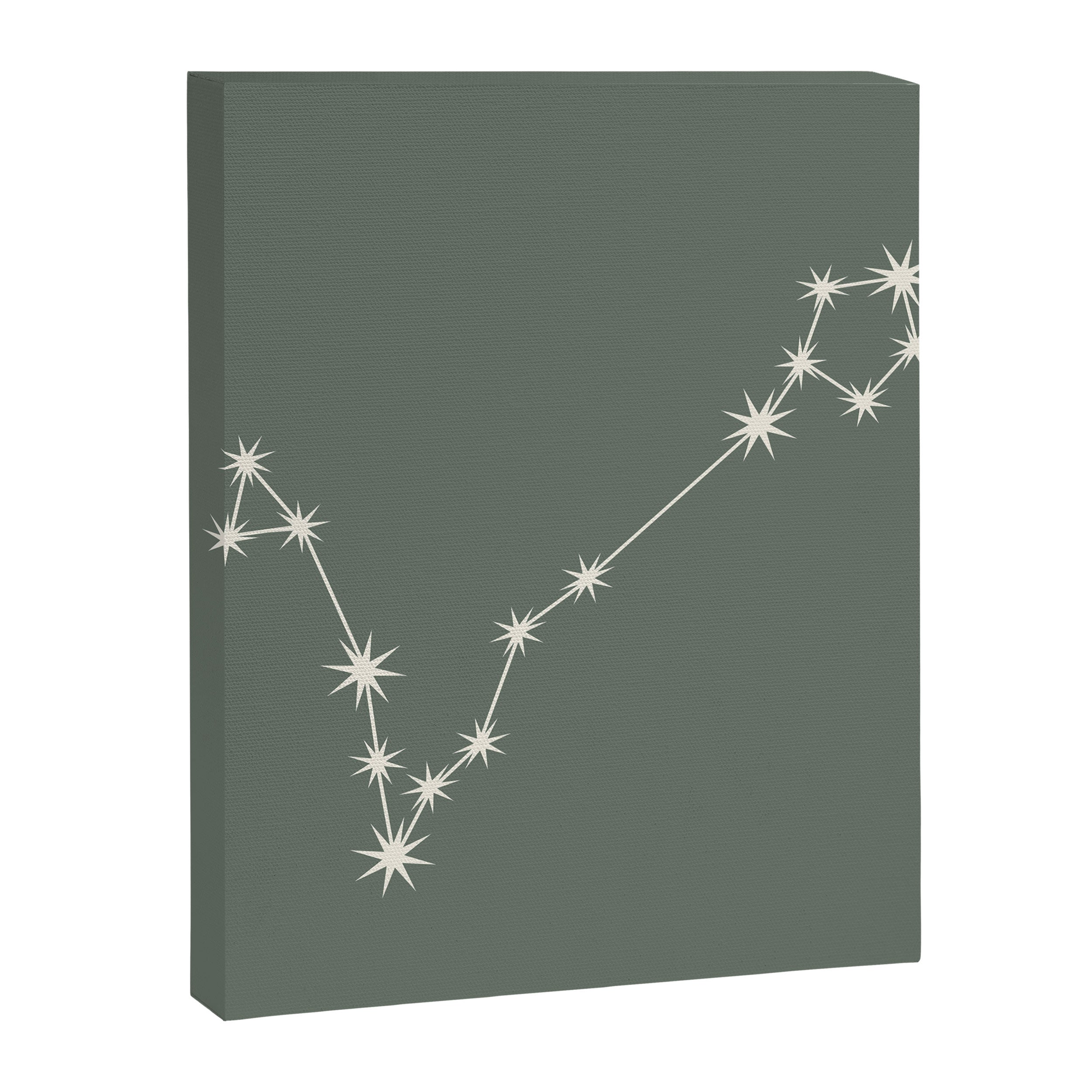 Pisces Zodiac Star Constellation Line Art Sage Canvas Print Gallery Image 8