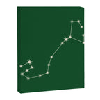 Scorpio Zodiac Star Constellation Line Art Green Canvas Print Gallery Image 8