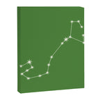 Scorpio Zodiac Star Constellation Line Art Kelly Green Canvas Print Gallery Image 8