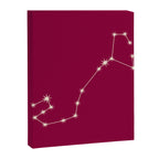 Scorpio Zodiac Star Constellation Line Art Magenta Pink Canvas Print Gallery Image 8