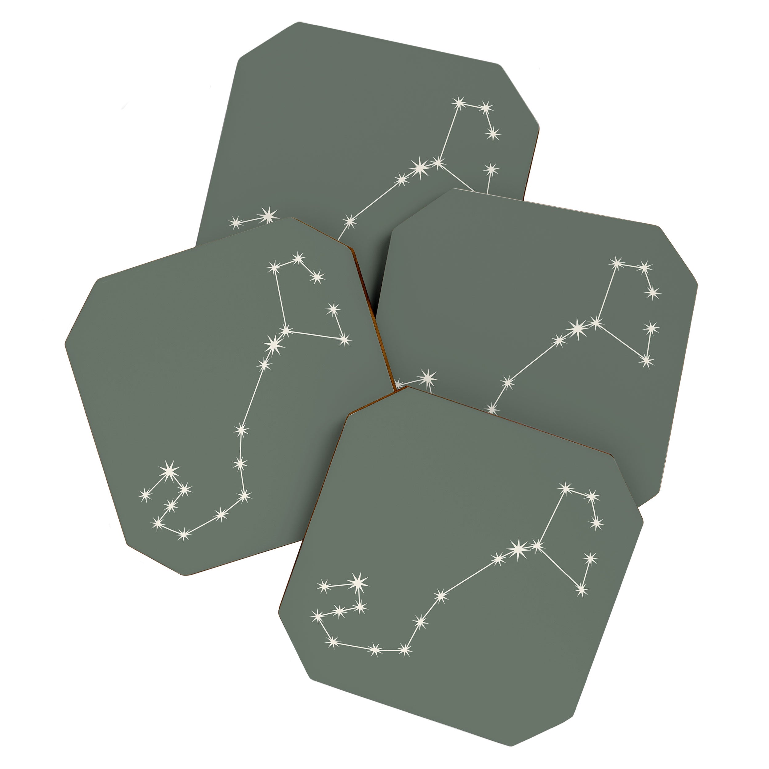 Scorpio Zodiac Star Constellation Line Art Sage Coaster Gallery Image 1