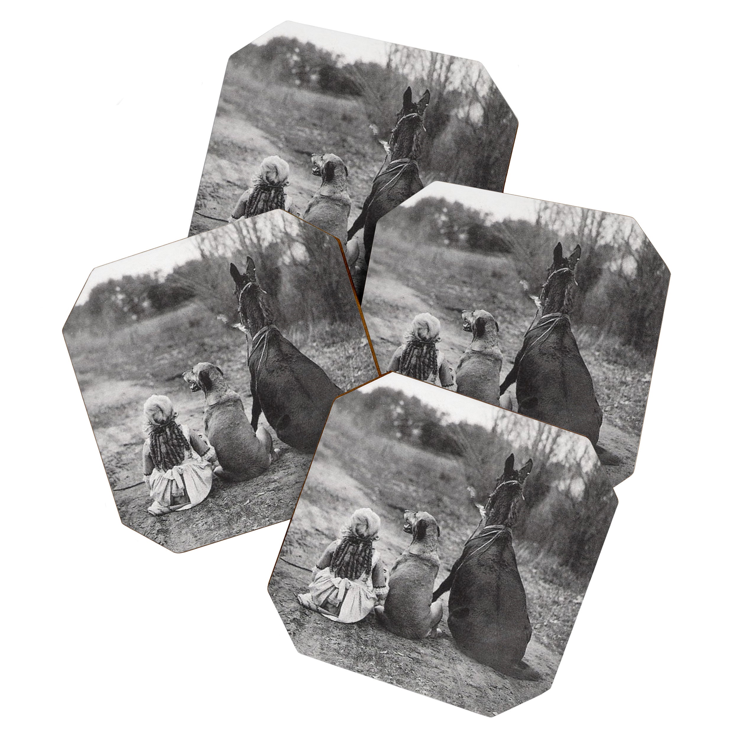A Girl, Her Dog, and Her Horse wonderful black and white photograph - photography Coaster Gallery Image 1